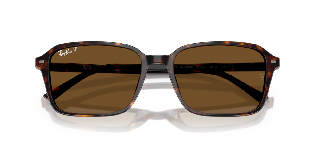 Ray-Ban RB2231 902/57