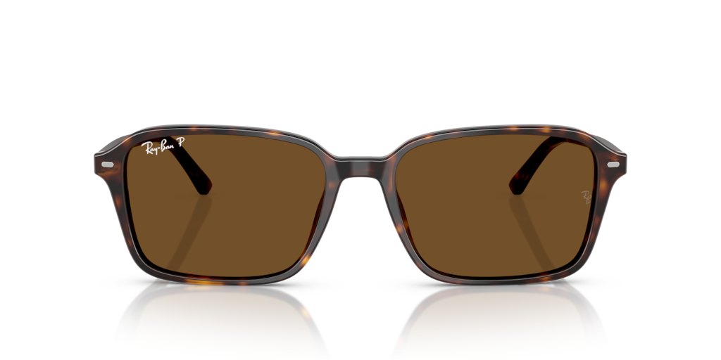 Ray-Ban RB2231 902/57