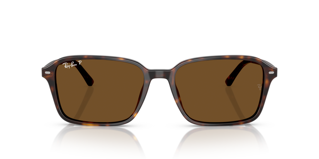 Ray-Ban RB2231 902/57