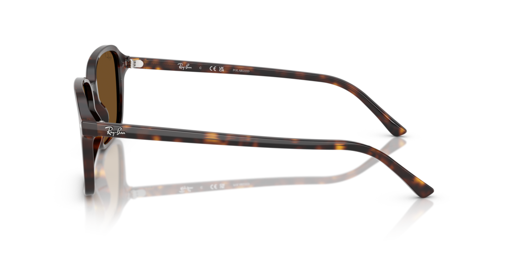 Ray-Ban RB2231 902/57