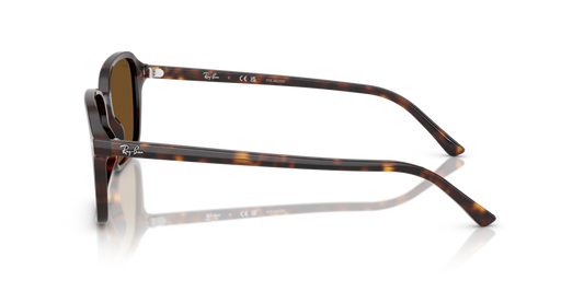 Ray-Ban RB2231 902/57