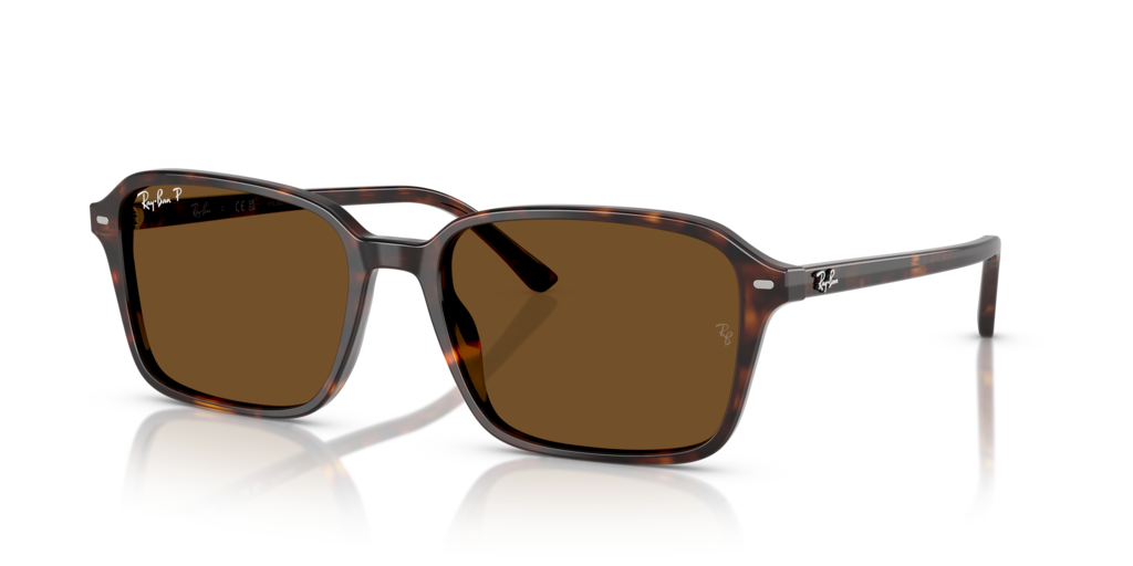 Ray-Ban RB2231 902/57 - 56 - Güneş Gözlükleri