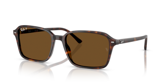 Ray-Ban RB2231