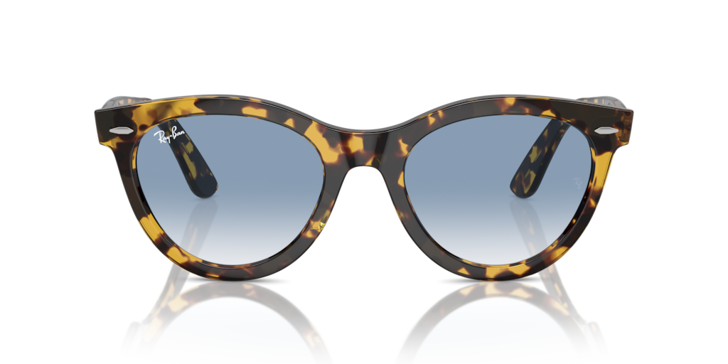 Ray Ban RB2241 13323F Güneş Gözlükleri