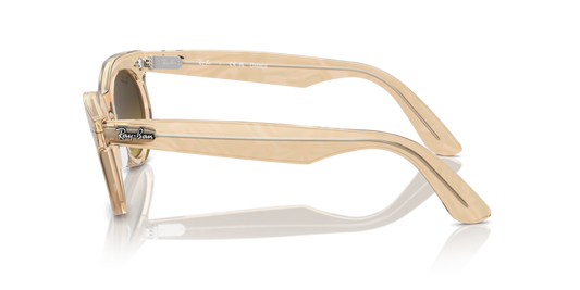 Ray-Ban RB2242 138685 - 53 - Güneş Gözlükleri