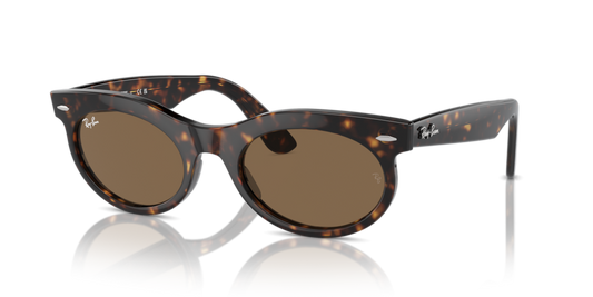 Ray-Ban RB2242
