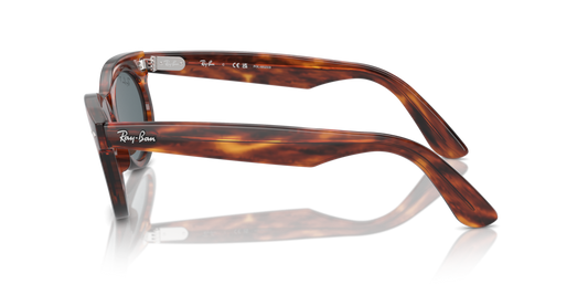 Ray-Ban RB2242 954/3R