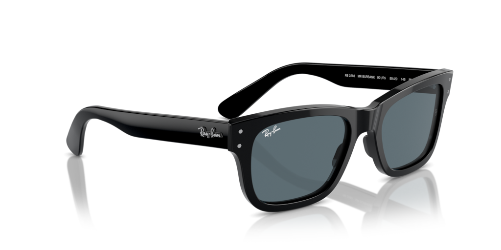 Ray-Ban RB2283 901/R5