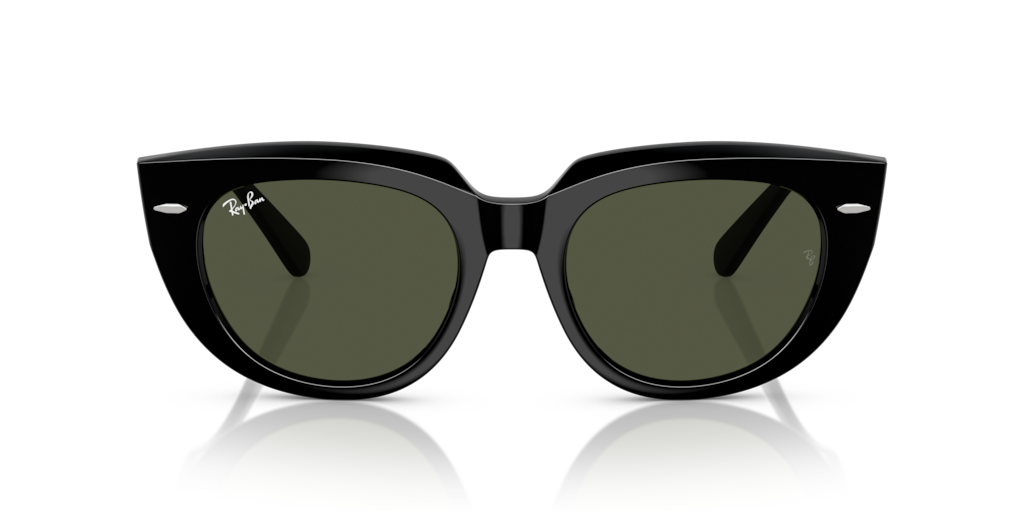 Ray-Ban RB2286 901/31