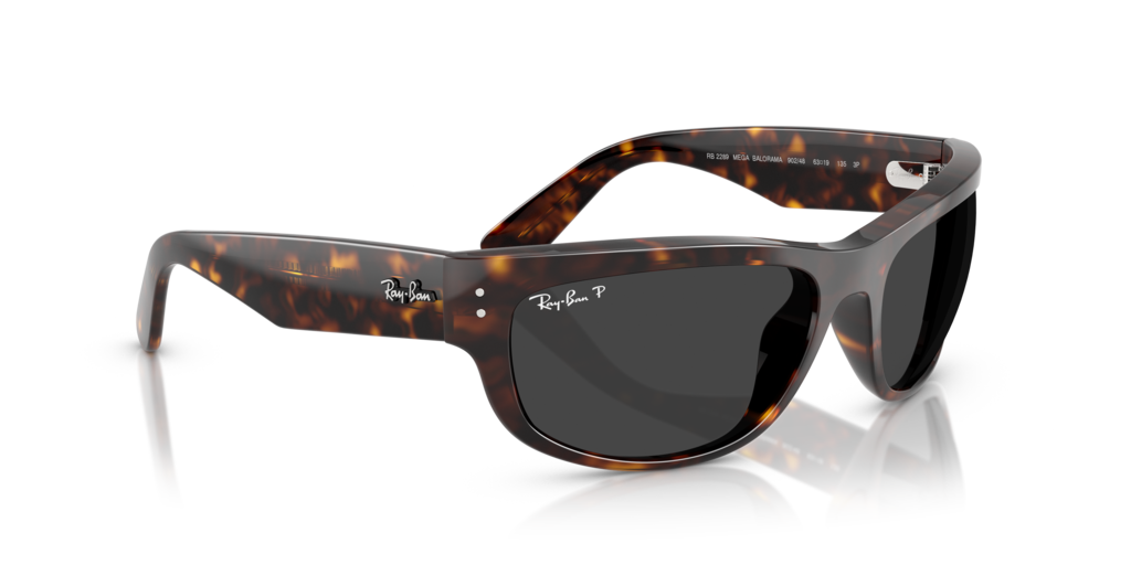 Ray-Ban RB2289 902/48