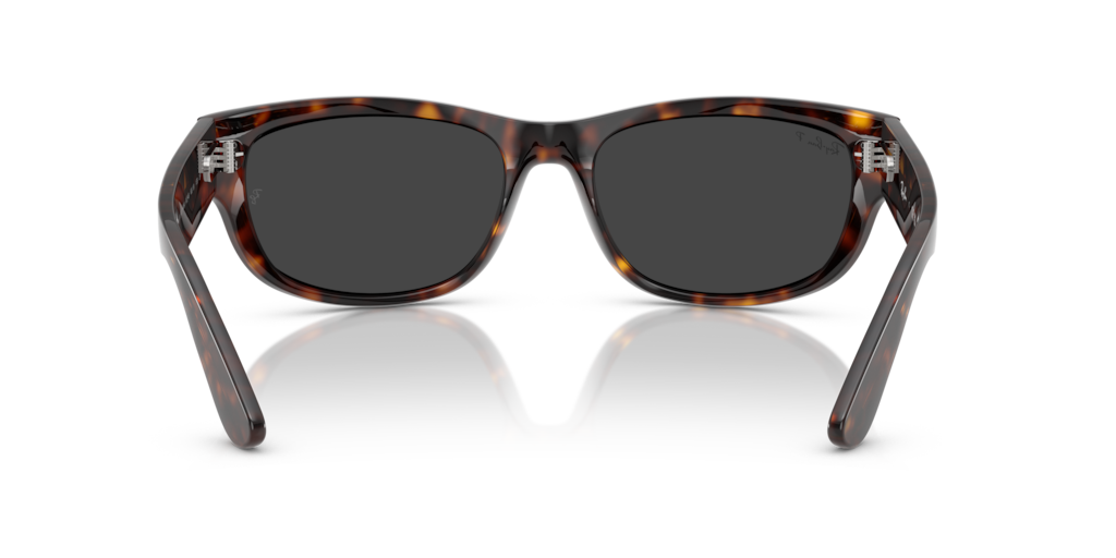 Ray-Ban RB2289 902/48