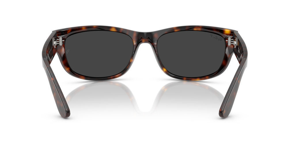 Ray-Ban RB2289 902/48