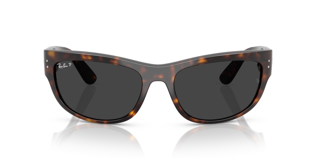 Ray-Ban RB2289 902/48