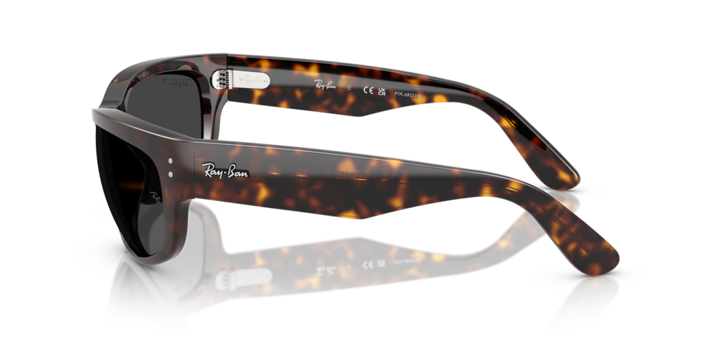 Ray-Ban RB2289 902/48