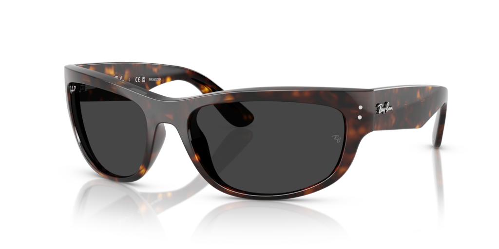 Ray-Ban RB2289