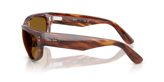 Ray-Ban RB2289 954/33