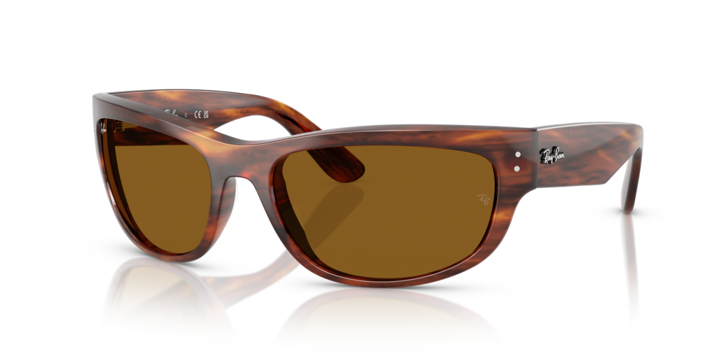 Ray-Ban RB2289