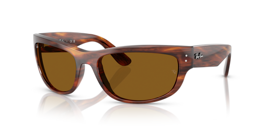 Ray-Ban RB2289