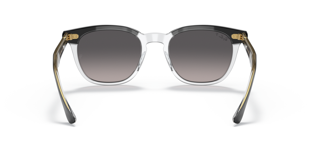 Ray-Ban RB2298 1294M3