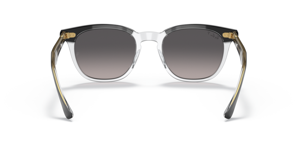 Ray-Ban RB2298 1294M3