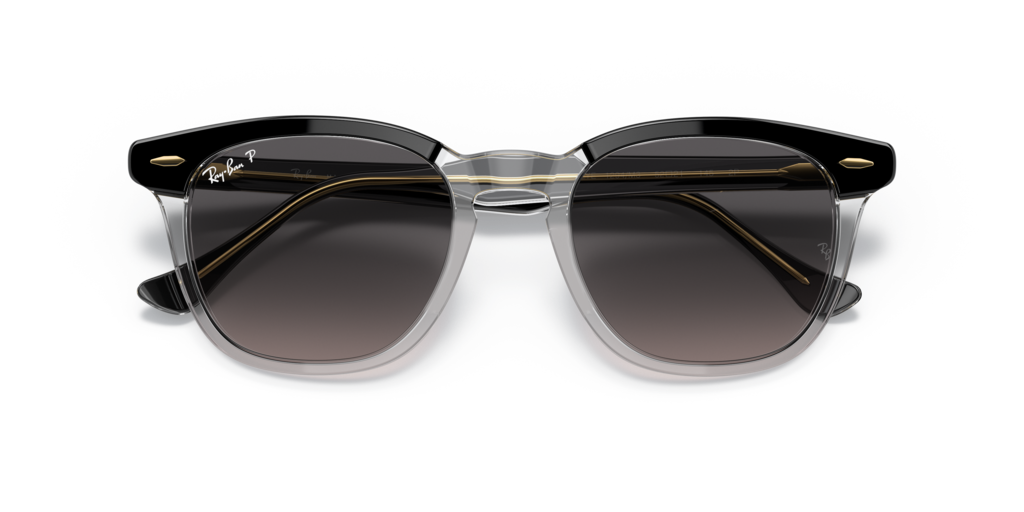 Ray-Ban RB2298 1294M3