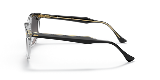 Ray-Ban RB2298 1294M3