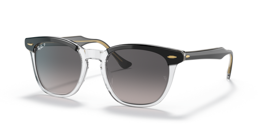 Ray-Ban RB2298