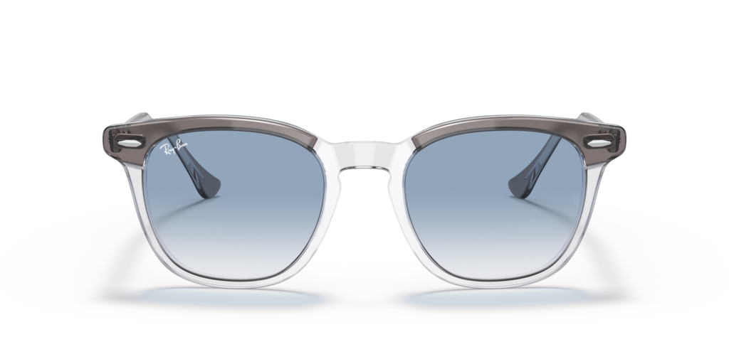 Ray-Ban RB2298 13553F