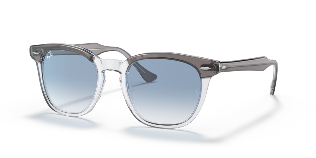 Ray-Ban RB2298