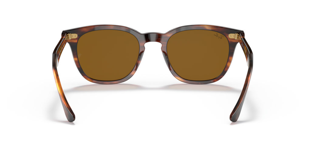 Ray-Ban RB2298 954/33