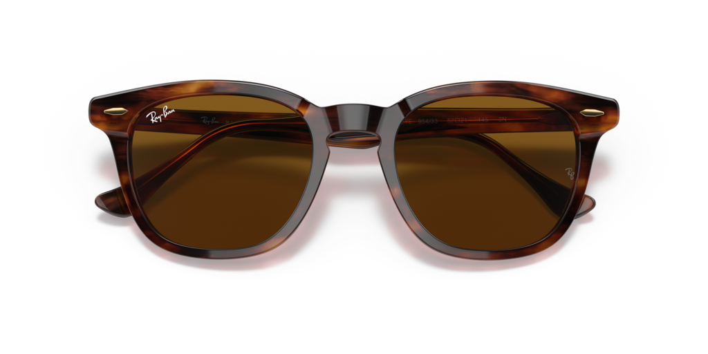 Ray-Ban RB2298 954/33