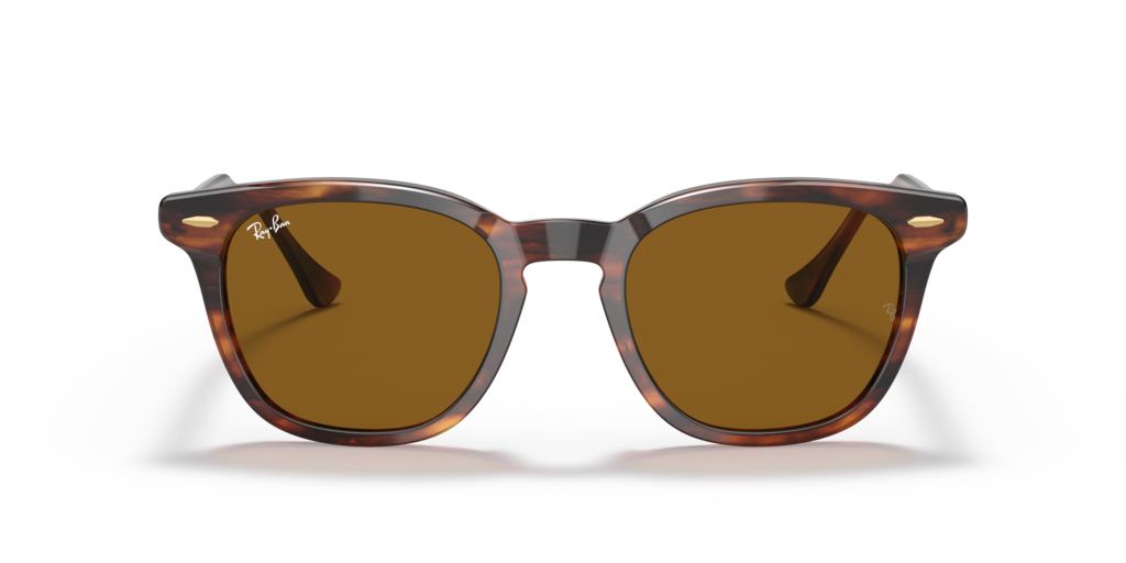 Ray-Ban RB2298 954/33
