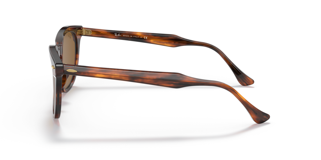 Ray-Ban RB2298 954/33