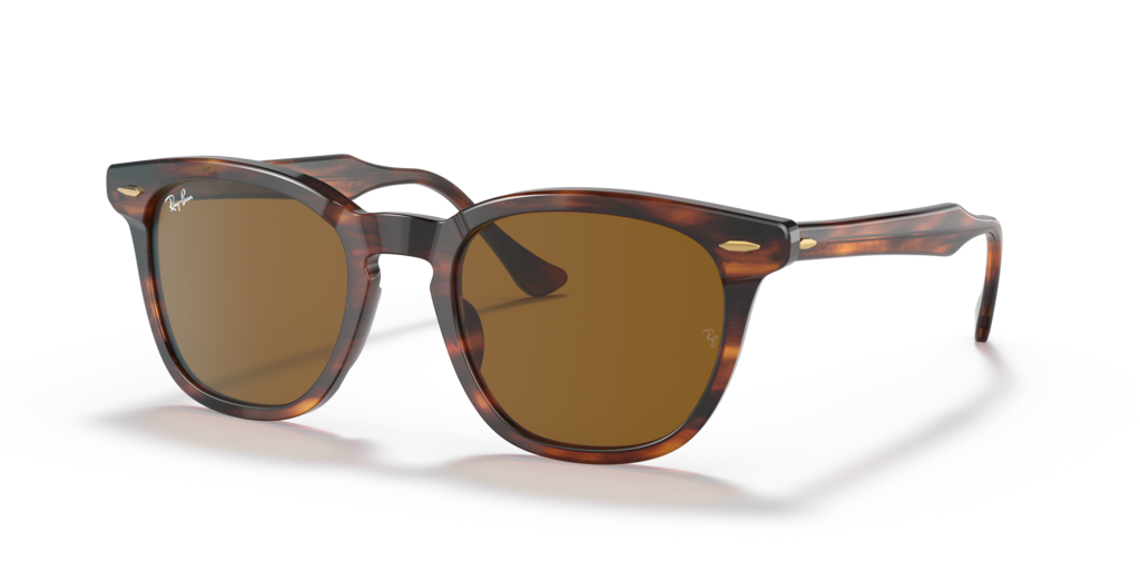 Ray-Ban RB2298