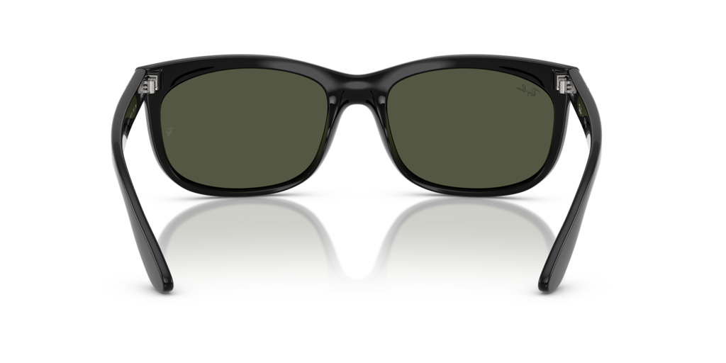 Ray Ban RB2389 901/31 Güneş Gözlükleri