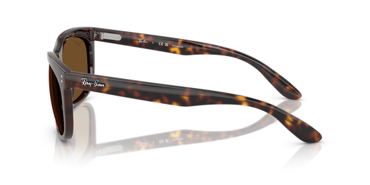 Ray-Ban RB2389 902/57