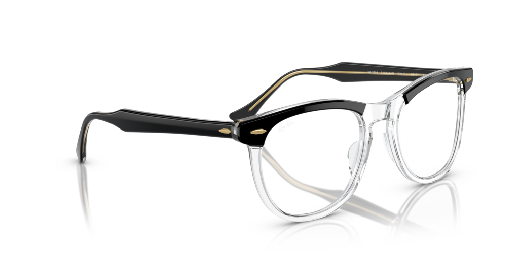 Ray-Ban RB2398 1294GJ