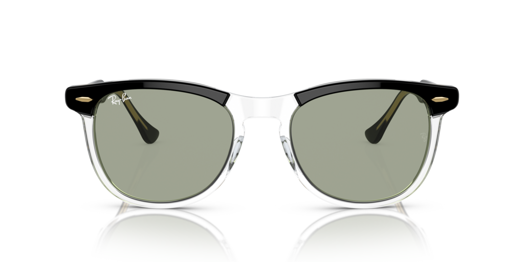Ray-Ban RB2398 1294GJ