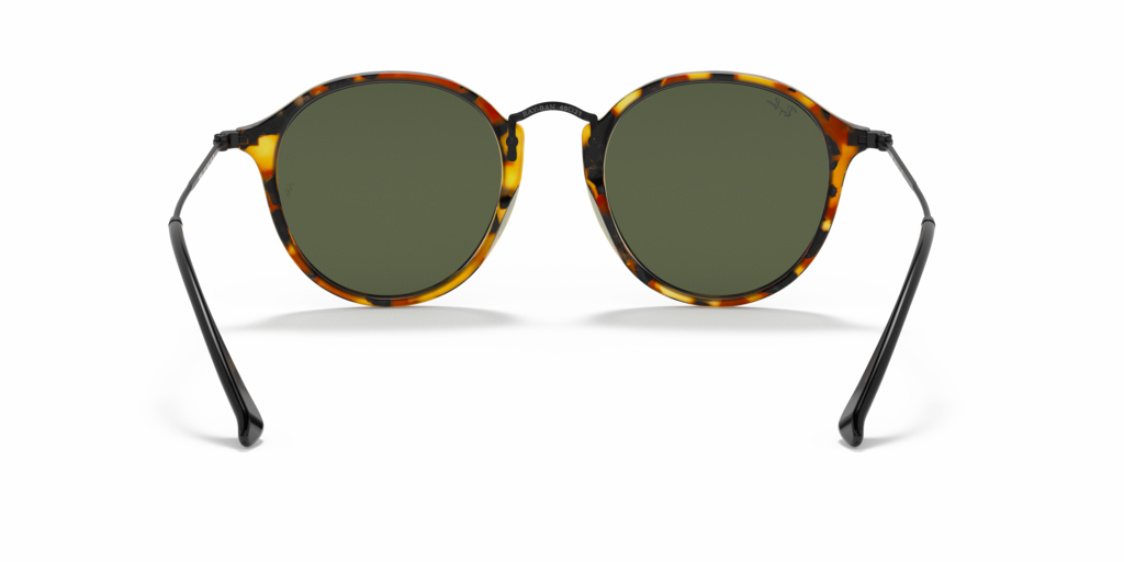 Ray-Ban RB2447 1157