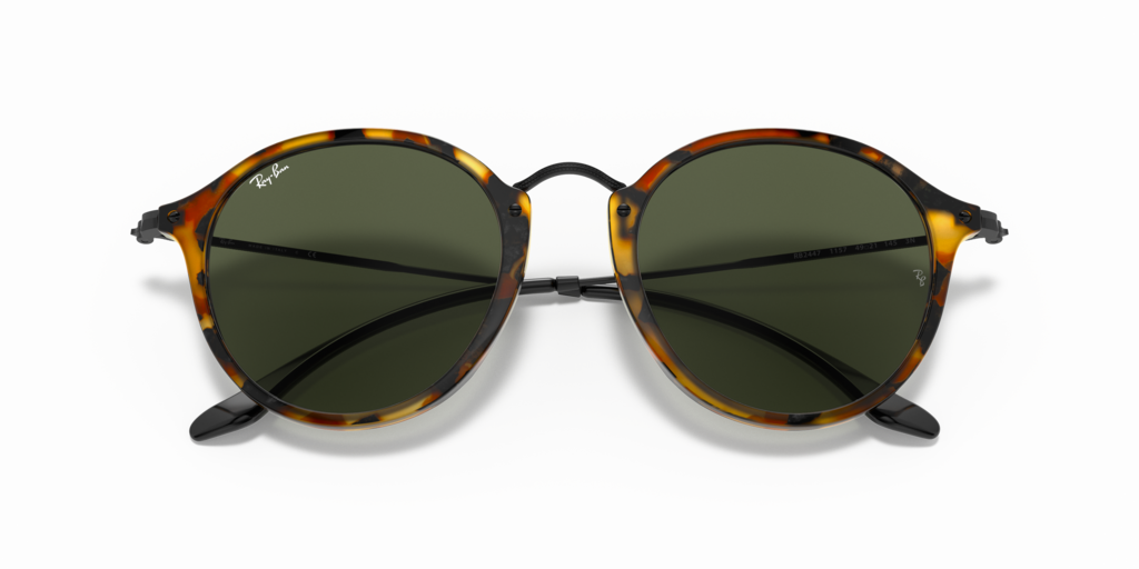 Ray-Ban RB2447 1157