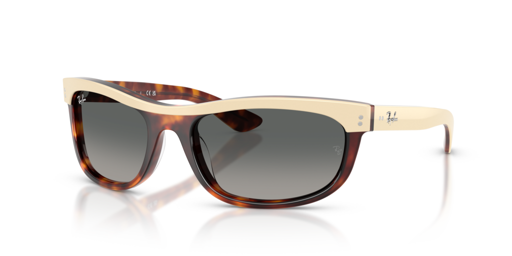Ray-Ban RB2489