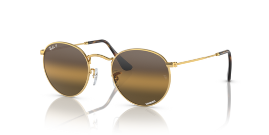 Ray-Ban RB3447