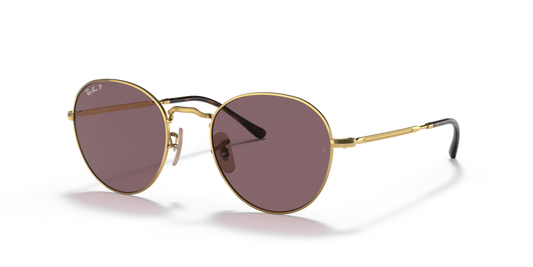 Ray-Ban RB3582