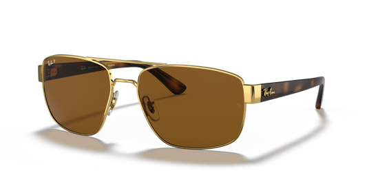 Ray-Ban RB3663