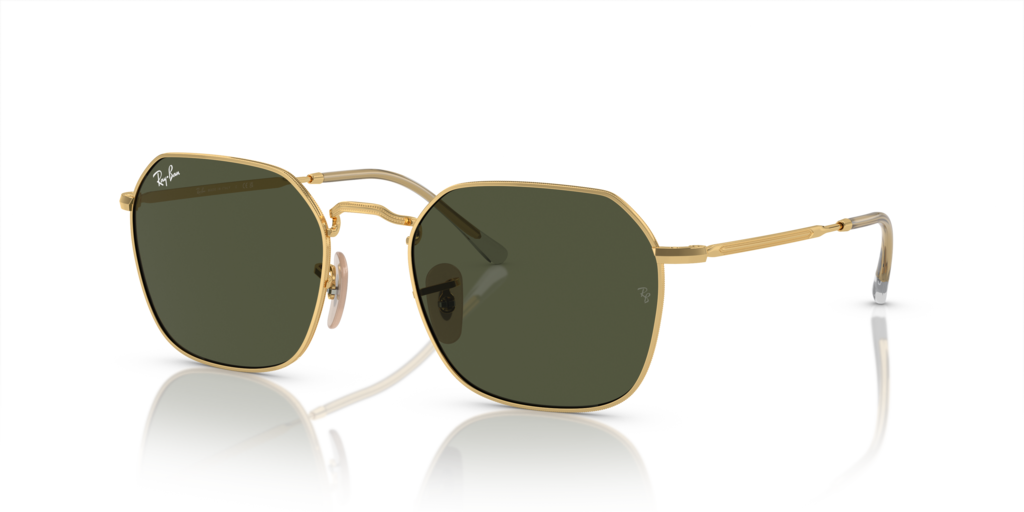 Ray-Ban RB3694