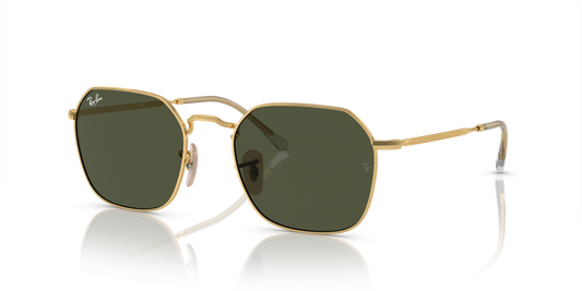 Ray-Ban RB3694