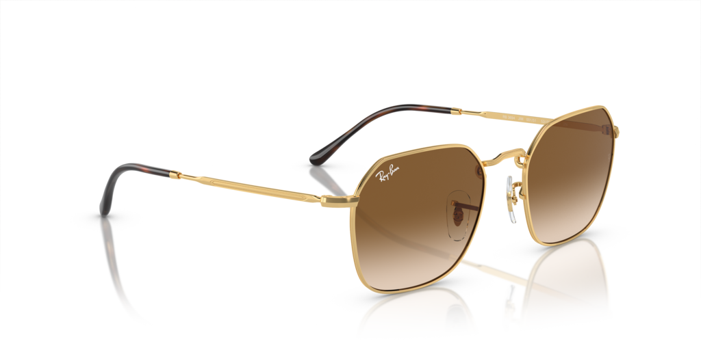 Ray-Ban RB3694 001/51