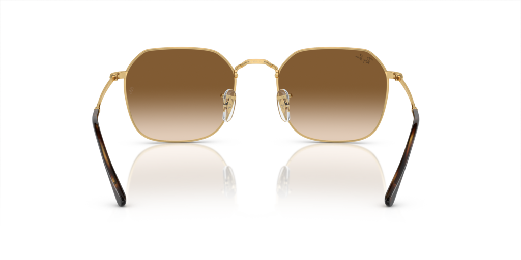 Ray-Ban RB3694 001/51