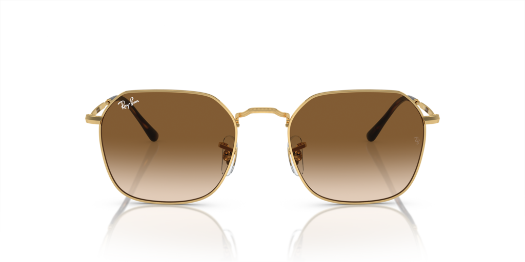 Ray-Ban RB3694 001/51