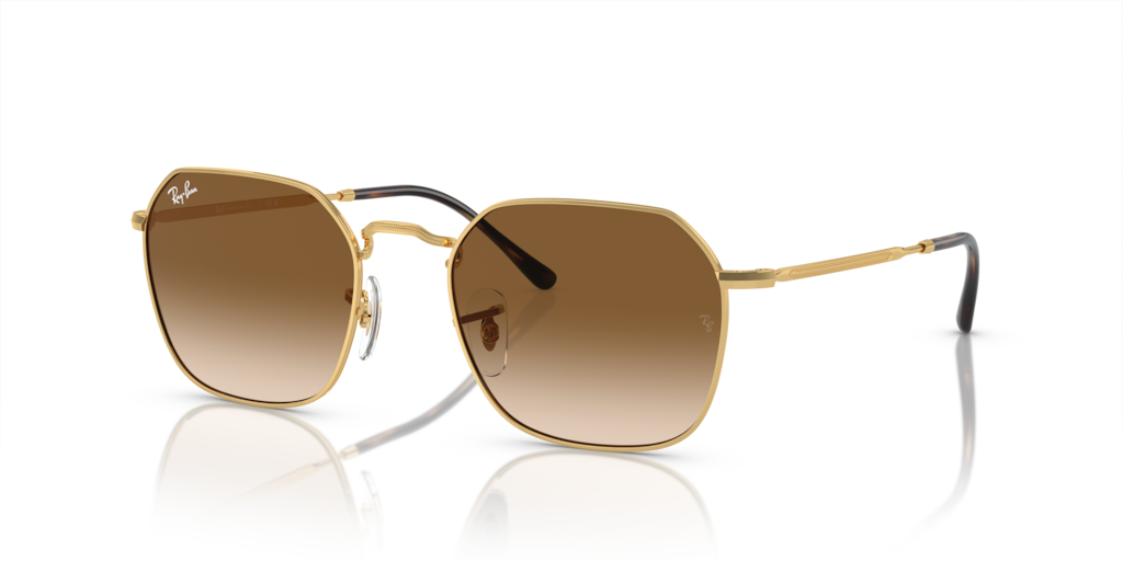Ray-Ban RB3694